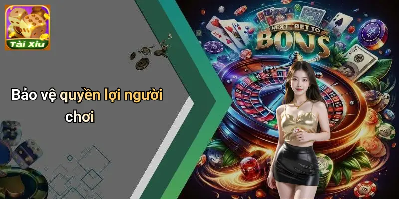 Điều Khoản Điều Kiện