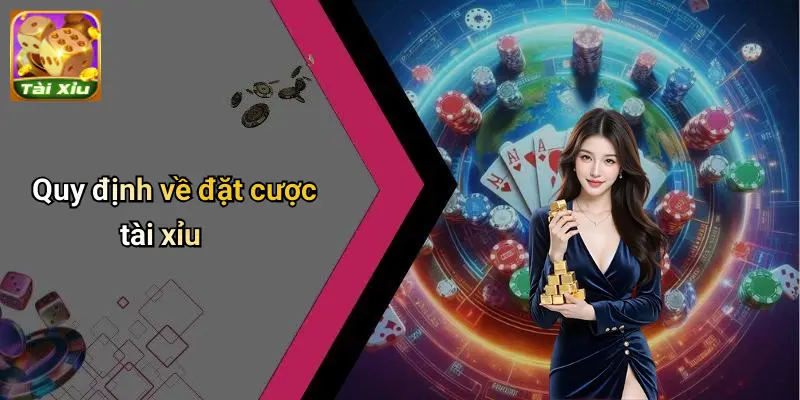 Điều Khoản Điều Kiện