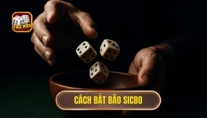 cách bắt bão sicbo