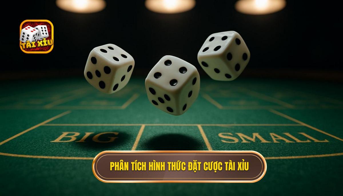 Phân tích các loại hình đặt cược trong tài xỉu 3 xúc xắc