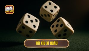 thumb - tài xỉu xí ngầu